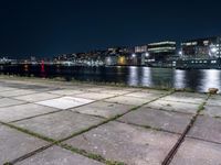 there are weeds on the ground by the water and buildings in the background at night