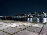 there are weeds on the ground by the water and buildings in the background at night