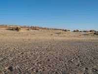 Coastal Landscape of Holland: A Clear Sky Day