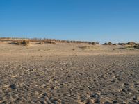 Coastal Landscape of Holland: A Clear Sky Day