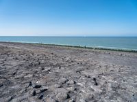 large number of rocks near an ocean shore on a sunny day with a lone person