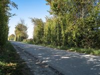 Holland Countryside Road Landscape