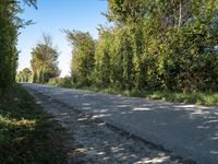 Holland Countryside Road Landscape