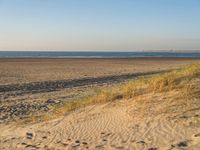 a grassy dune is at the edge of the sandy beach near the ocean with a light house and the water in the distance