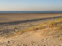 a grassy dune is at the edge of the sandy beach near the ocean with a light house and the water in the distance