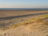 a grassy dune is at the edge of the sandy beach near the ocean with a light house and the water in the distance