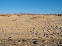 Coastal Landscape of Holland, Netherlands