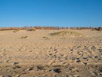 Coastal Landscape of Holland, Netherlands