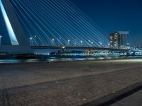 Night Cityscape in Holland: Cobble Stone Streets and Modern Architecture