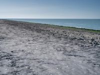 a large black dog sitting next to a sandy beach and ocean shore line with some grass