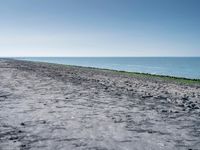 a large black dog sitting next to a sandy beach and ocean shore line with some grass