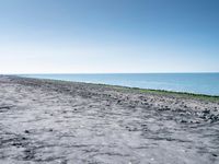 a large black dog sitting next to a sandy beach and ocean shore line with some grass