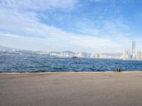 a skateboarder rides on the edge of the water with the city in the background