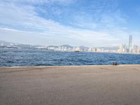 a skateboarder rides on the edge of the water with the city in the background