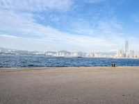 a skateboarder rides on the edge of the water with the city in the background