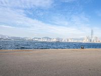 a skateboarder rides on the edge of the water with the city in the background