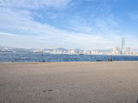 a skateboarder rides on the edge of the water with the city in the background