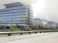 the bench is by the sidewalk between two buildings with large windows, and is near some green plants