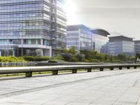 the bench is by the sidewalk between two buildings with large windows, and is near some green plants