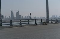 Hong Kong Metropolis: Skyline with Clear Sky