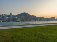 the green grass is covering the lawn and in front of the water and the large skyscrapers