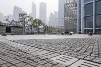 Modern Architecture in the City: Hong Kong Cityscape