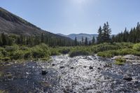 Hoosier Pass Colorado Mountain Landscape