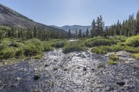 Hoosier Pass Colorado Mountain Landscape 005