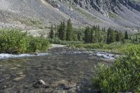 Hoosier Pass: A Scenic Mountain Drive in Colorado