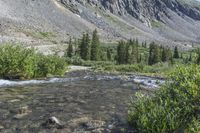 Hoosier Pass: A Scenic Mountain Drive in Colorado