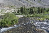 Hoosier Pass: A Scenic Mountain Drive in Colorado