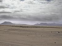 a barren desert plain has a single horse in it's pasture and mountains are in the distance