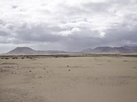 a barren desert plain has a single horse in it's pasture and mountains are in the distance