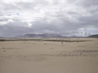 a barren desert plain has a single horse in it's pasture and mountains are in the distance