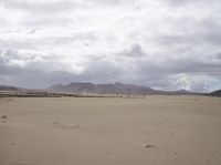 a barren desert plain has a single horse in it's pasture and mountains are in the distance