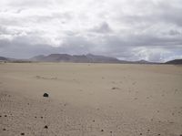 a barren desert plain has a single horse in it's pasture and mountains are in the distance