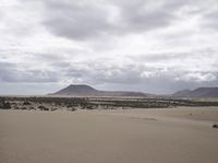 a barren desert plain has a single horse in it's pasture and mountains are in the distance