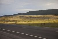 a horse is walking down a highway near a field of grass and trees near the hills