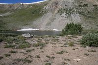 a horse in a field on the bank of a river near a mountain slope with a pond at the end and a mountain in the distance