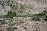 a horse in a field on the bank of a river near a mountain slope with a pond at the end and a mountain in the distance