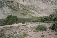 a horse in a field on the bank of a river near a mountain slope with a pond at the end and a mountain in the distance