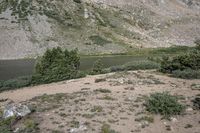 a horse in a field on the bank of a river near a mountain slope with a pond at the end and a mountain in the distance