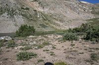 a horse in a field on the bank of a river near a mountain slope with a pond at the end and a mountain in the distance