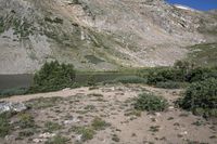 a horse in a field on the bank of a river near a mountain slope with a pond at the end and a mountain in the distance