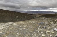 horse running in a dry landscape under cloudy skies and black clouds by itself, with grey rocks strewn all around