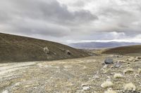 horse running in a dry landscape under cloudy skies and black clouds by itself, with grey rocks strewn all around