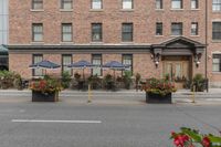 a hotel on a corner near a flower display in the street and outside with red roses