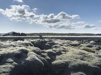 Iceland's Coastal Outcrops: Lush Grass and Volcanic Bedrock