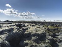 Iceland's Coastal Outcrops: Lush Grass and Volcanic Bedrock