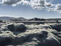 Iceland's Coastal Outcrops: Lush Grass and Volcanic Bedrock